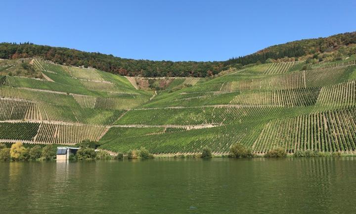 Weingut Lehnert-Veit